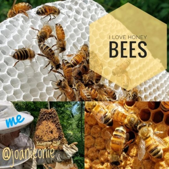 2 Lip Balms Organic PEPPERMINT Hand Crafted NWT - Picture 9 of 11